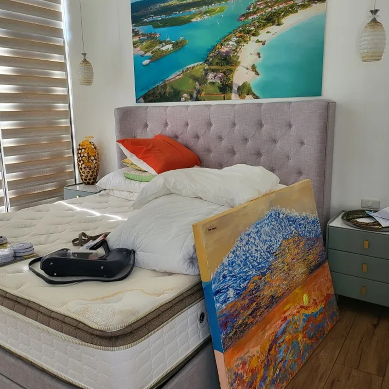 HD 熱伝達音響壁画 - カスタマイズ可能、ノイズ低減、学校/講堂に最適